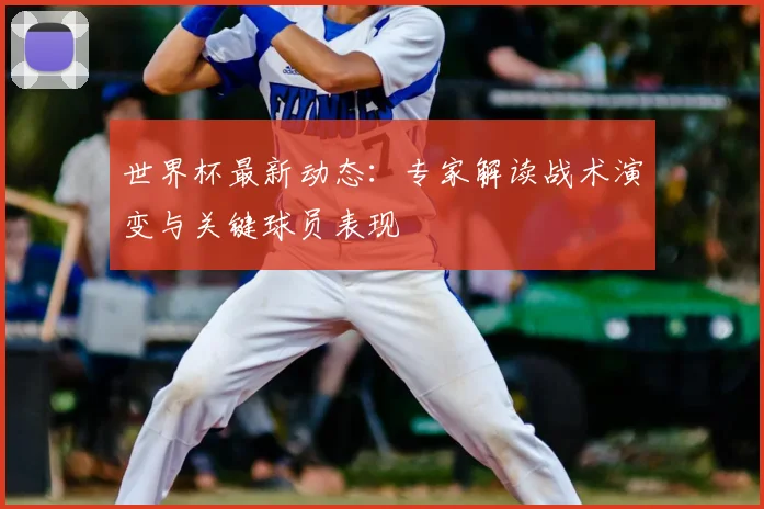 世界杯最新动态：专家解读战术演变与关键球员表现