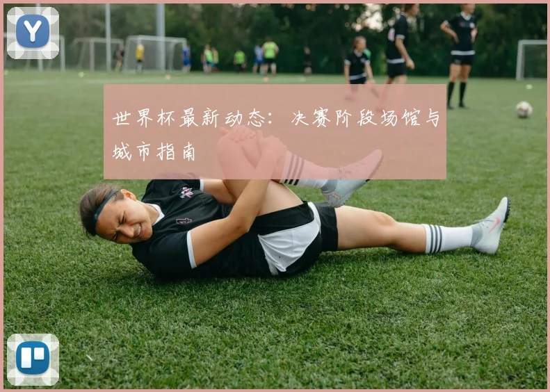 世界杯最新动态：决赛阶段场馆与城市指南