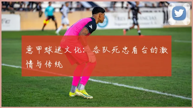 意甲球迷文化：各队死忠看台的激情与传统