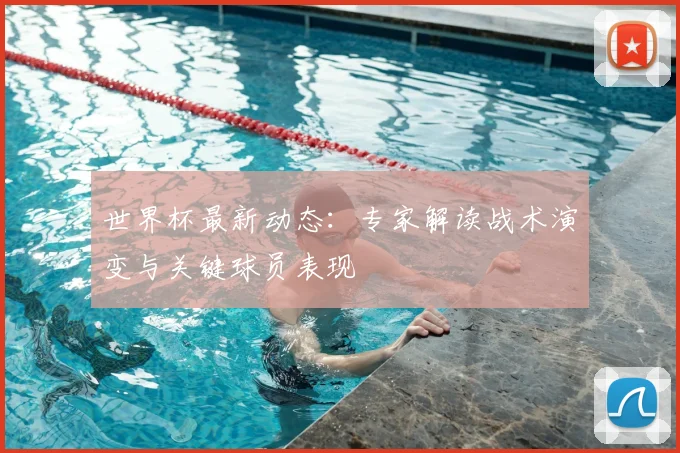 世界杯最新动态：专家解读战术演变与关键球员表现
