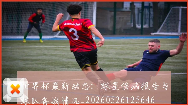 世界杯最新动态：球星伤病报告与球队备战情况_20260526125646
